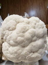Load image into Gallery viewer, Pennypack Farm Summer 2026 CSA Mushroom Share