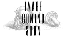 Load image into Gallery viewer, Maitake Mushroom