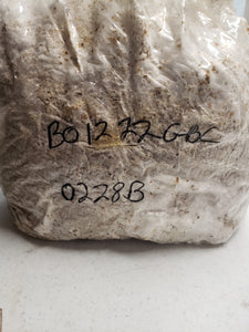 Mushroom soil bags for sale