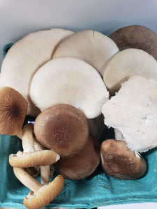 Exotic Mixed Mushrooms
