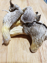 Load image into Gallery viewer, Dried Oyster Mushrooms
