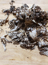 Load image into Gallery viewer, Dried Maitake Mushrooms
