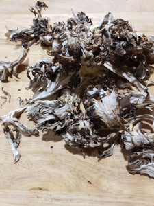 Dried Maitake Mushrooms